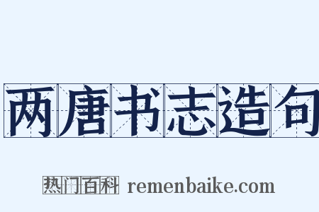 两唐书志造句是什么意思的图片
